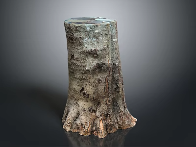 Natural Tree Stump Featuring Textured Bark And Organic Wooden Surface Details 3d model