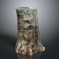 Natural Tree Stump Featuring Textured Bark And Organic Wooden Surface Details