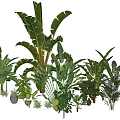 Various Indoor Potted Plants With Green Leaves For Home Decor And Interior