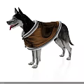 Siberian Husky Wearing Brown Dog Vest With White Trim Standing Isolated