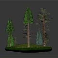 Realistic Forest Model Display With Various Evergreen Trees And Green Grass