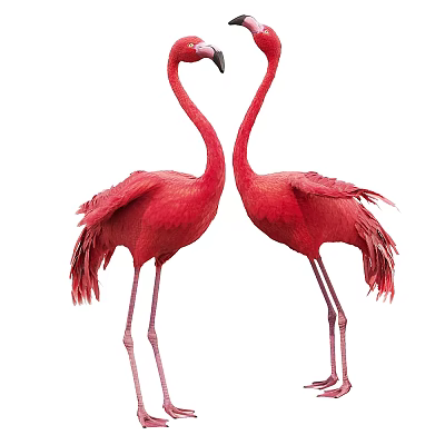 Flight Animal Flamingo Pair With Red Feathers And Elegant Long Necks 3d model