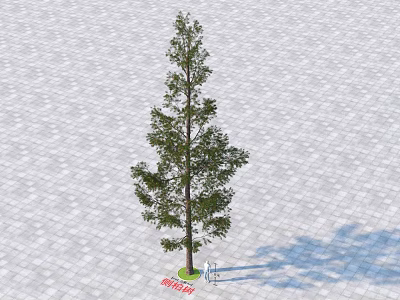 Tall Arbor Standing On Gray Paved Ground With Person And Long Shadow 3d model