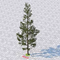 Tall Arbor Standing On Gray Paved Ground With Person And Long Shadow 3d model