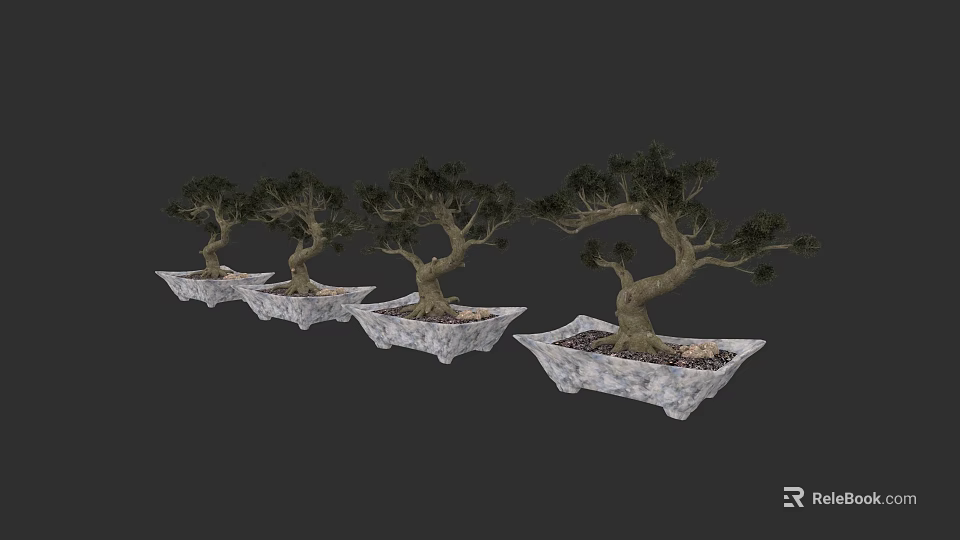 Bonsai Plants Arranged in Row with Curved Trunks Green Foliage and Stone Square Pots 3d model 