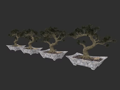Bonsai Plants Arranged in Row with Curved Trunks Green Foliage and Stone Square Pots 3d model