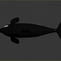 Realistic 3D Orca Model With Black And White Body Dorsal Fin And Open Mouth