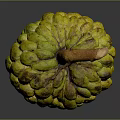 Fresh Yellow Custard Apple With Bumpy Texture And Brown Stem On Gray Background 3d model