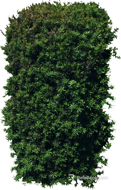 Lush Green Plants With Dense Foliage And Vibrant Leaves For Natural Wall Decor 3d model 