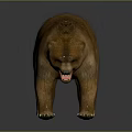 Realistic Brown Bear 3D Model Standing With Open Mouth And Sharp Teeth