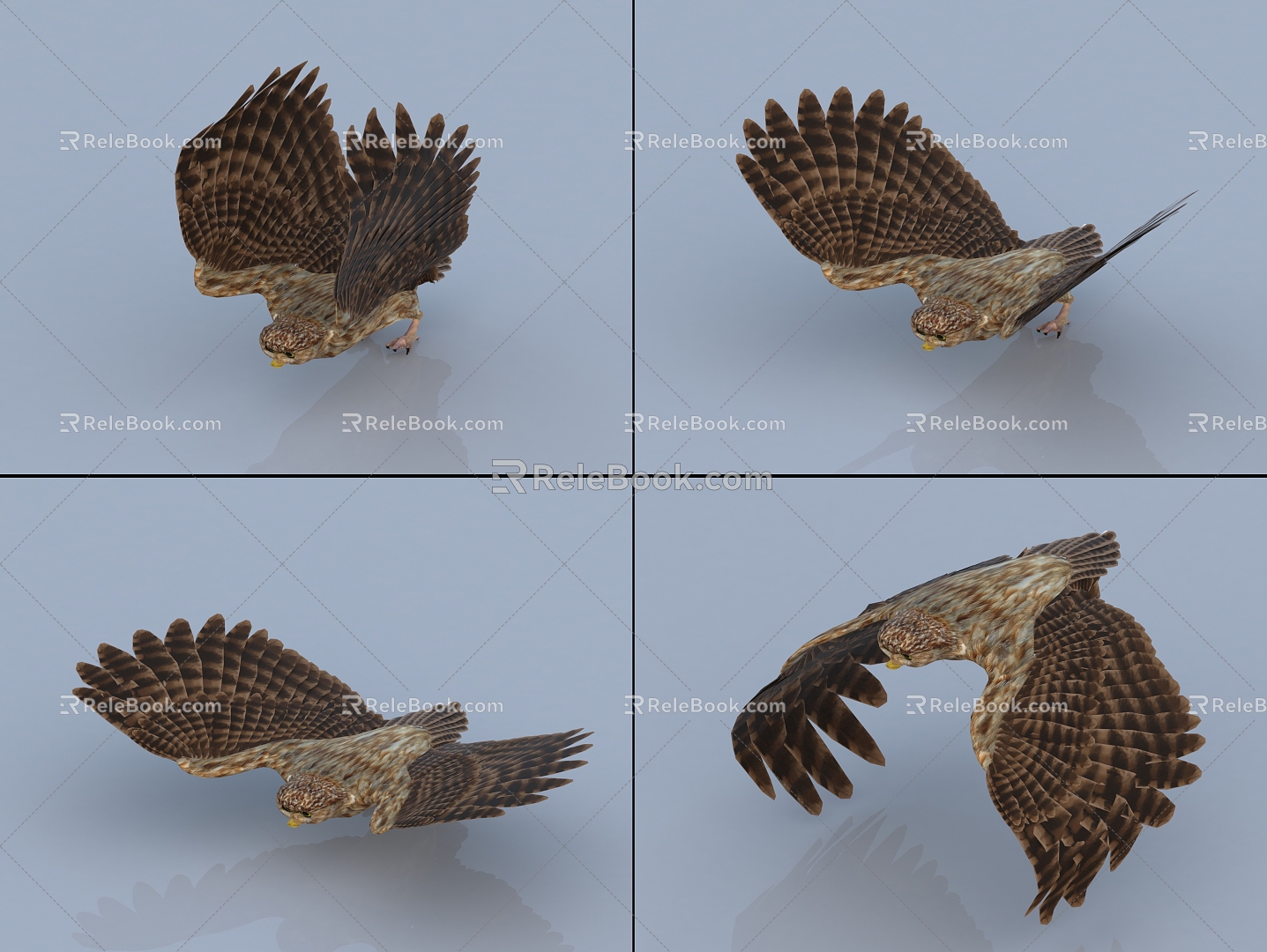 Owl Bird with Animated and Bound Eagle 3d model