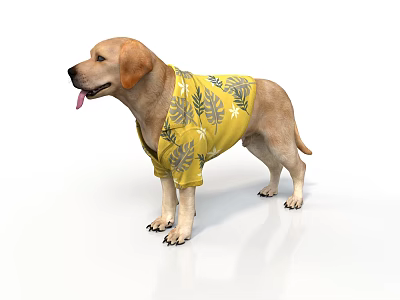 Labrador Dog Wearing Yellow Shirt With Leaf Pattern Standing On White Background 3d model
