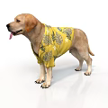 Labrador Dog Wearing Yellow Shirt With Leaf Pattern Standing On White Background