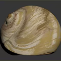 Aquatic Animal Shell Featuring Creamy White And Light Pink Spiral Patterns On Dark Background With Reflection 3d model