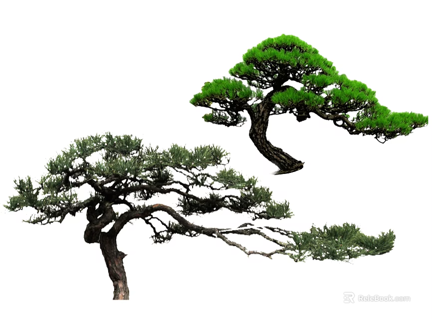 Two Elegant Arbor Trees With Lush Green Foliage And Graceful Branch Shapes 3d model 