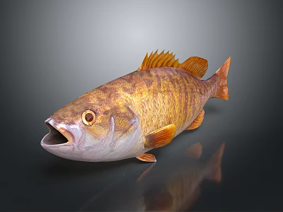 Realistic 3D Fish Model With Orange Brown Scales And Open Mouth 3d model