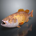 Realistic 3D Fish Model With Orange Brown Scales And Open Mouth