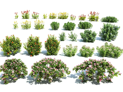 Different Varieties Of Garden Shrubs With Colorful Blooms For Landscaping Design 3d model