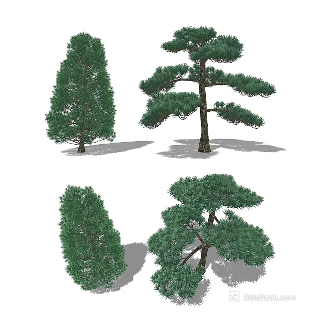 Different Types of Evergreen Trees with Distinct Canopy Shapes and Lush Foliage Details 3d model 