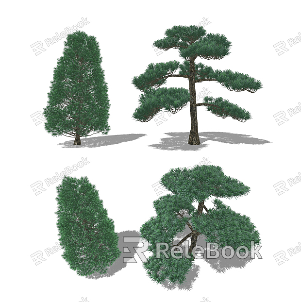 Modern Pine Rohan Pine Landscape Trees model