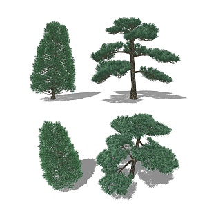 Modern Pine Rohan Pine Landscape Trees 3d model