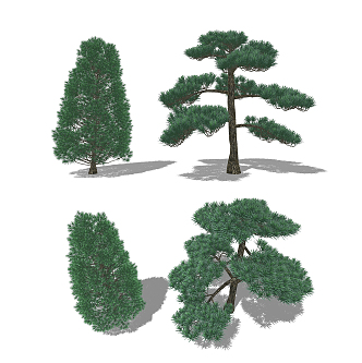 Modern Pine Rohan Pine Landscape Trees 3d model