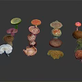 Colorful Various Fresh Mushroom Vegetables With Different Types And Bright Colors