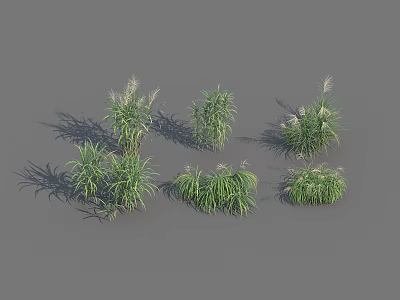 Green Herbaceous Plants And Grasses In Various Growth Forms On Gray Background For Landscaping Design 3d model