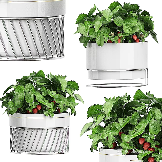 Modern Hanging Strawberry Plants With Green Leaves Red Strawberries And White Metal Pots 3d model 