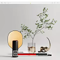 Modern Decorative Ornament Set with Green Plant Golden Accents Transparent Vase and Black Base