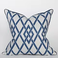 Blue and White Decorative Throw Pillows with Geometric Floral Paisley and Letter Designs