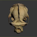 Medical Device Human Skull Model With Detailed Anatomical Structure For Medical Education And Training