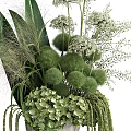 Elegant Decorative Ornament Arrangement With Lush Green Foliage White Flowers And Spherical Plants