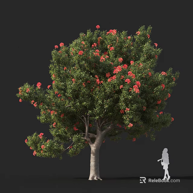 Ornamental Arbor Tree With Vibrant Red Flowers Lush Green Foliage And Human Silhouette For Scale 3d model 