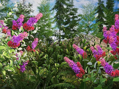 Vibrant Purple and Red Flowers Growing Among Green Foliage and Tall Trees 3d model