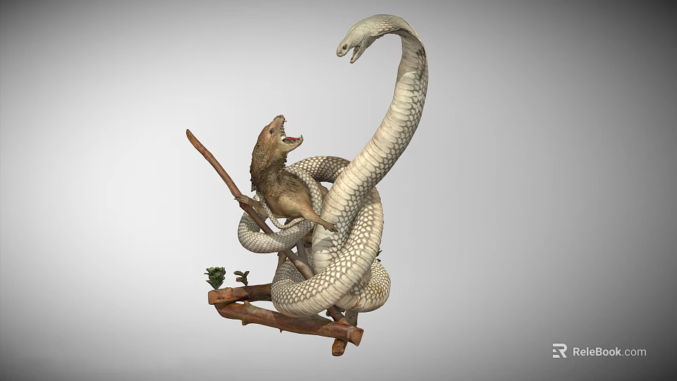 Open Mouth Dinosaur Confronting Giant Snake on Wooden Branch with Green Plant 3d model 