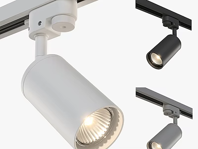 Modern Track Mounted Downlights And Spotlights With White Black Gray Design 3d model