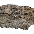 Natural Stone Wood Slab With Rough Textured Surface And Organic Patterns 3d model
