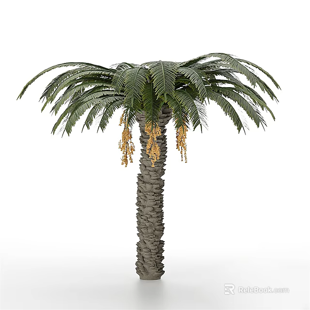 Tall Palm Tree With Green Fronds Brown Trunk And Yellow Inflorescences 3d model 