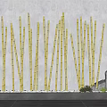 Tall Bamboo Stalks in Rectangular Planter with Decorative Stone and Small Plants