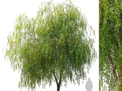 Decorative Plant Ornament Set With Weeping Willow And Green Leaf Decor For Home 3d model