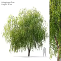Decorative Plant Ornament Set With Weeping Willow And Green Leaf Decor For Home