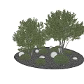 Green Shrubs And Trees In Garden Landscape With Round Stones Arrangement