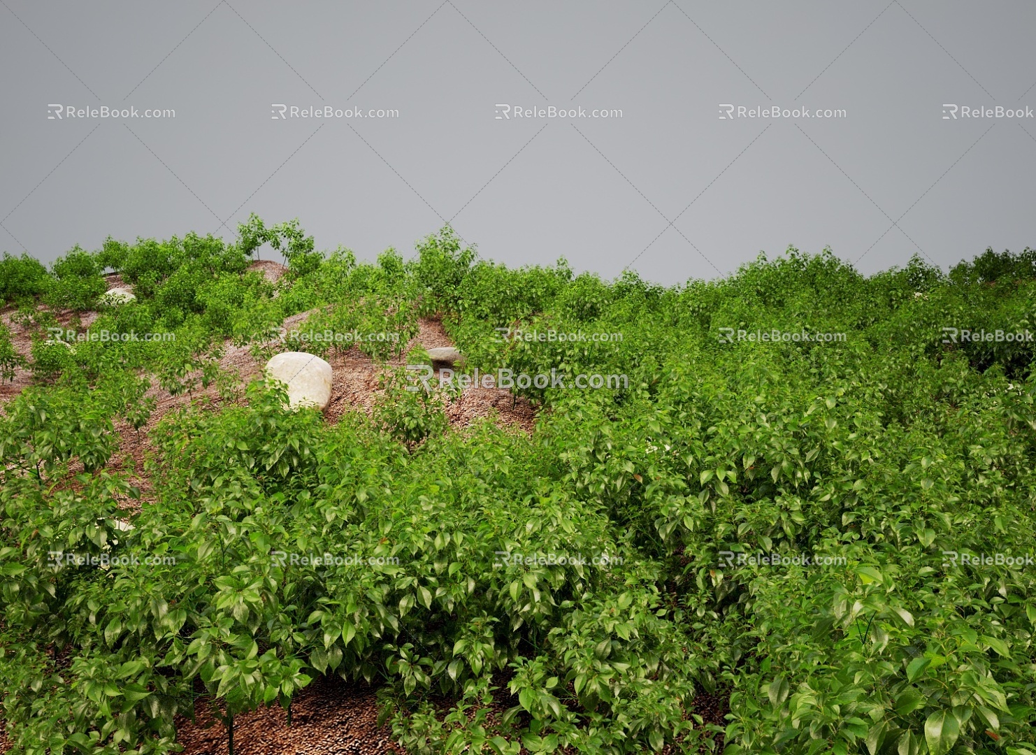 Modern Grassland Shrubs Grass Green Plant Shrubs 3d model