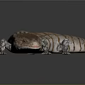 Brown And White Striped Lizard With Long Tail On Dark Background