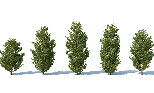 The Modern Tree 3d model