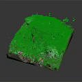 Wood and Stone Miniature Landscape With Moss Covered Stump And Small Plants