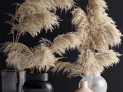 Dried Pampas Grass Arranged in Colorful Vases with Black White and Pink Tones 3d model