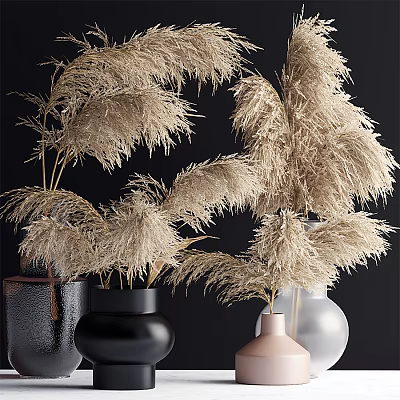 Dried Pampas Grass Arranged in Colorful Vases with Black White and Pink Tones 3d model