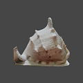 Unique Spiral Shell With Textured Surface And Cream Brown Tones On Dark Background 3d model